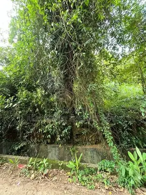 Mathara : 53 Perches Land for Sale in Kekanadura