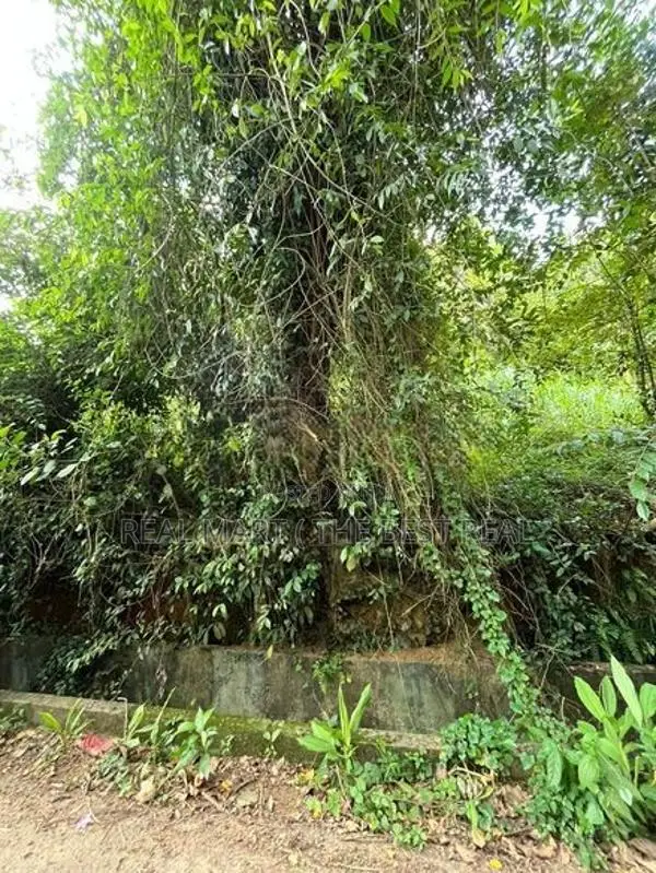 Mathara : 53 Perches Land for Sale in Kekanadura