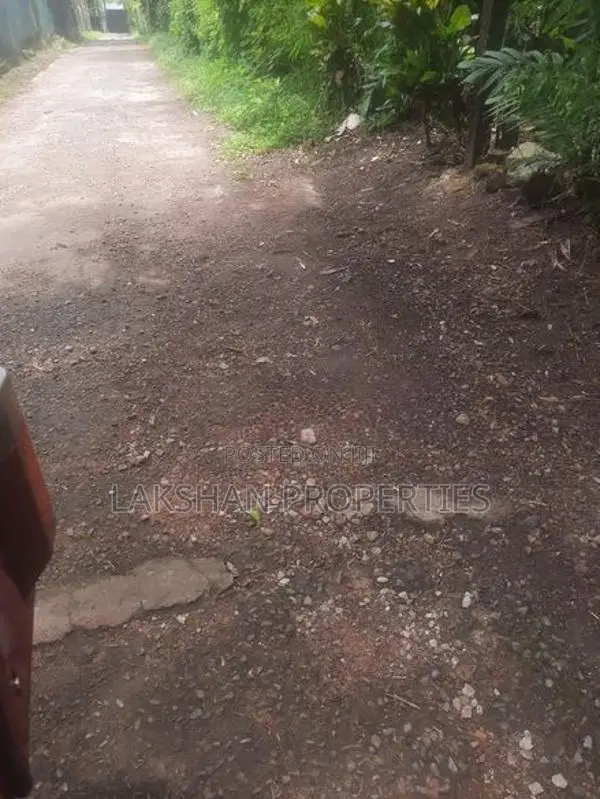 Land For Sale In Raththanapitiya