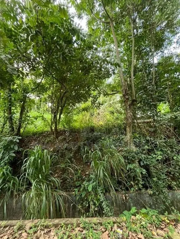Mathara : 53 Perches Land for Sale in Kekanadura