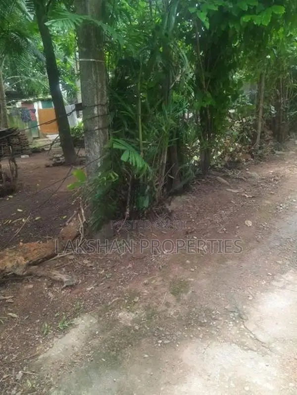 Land For Sale In Raththanapitiya