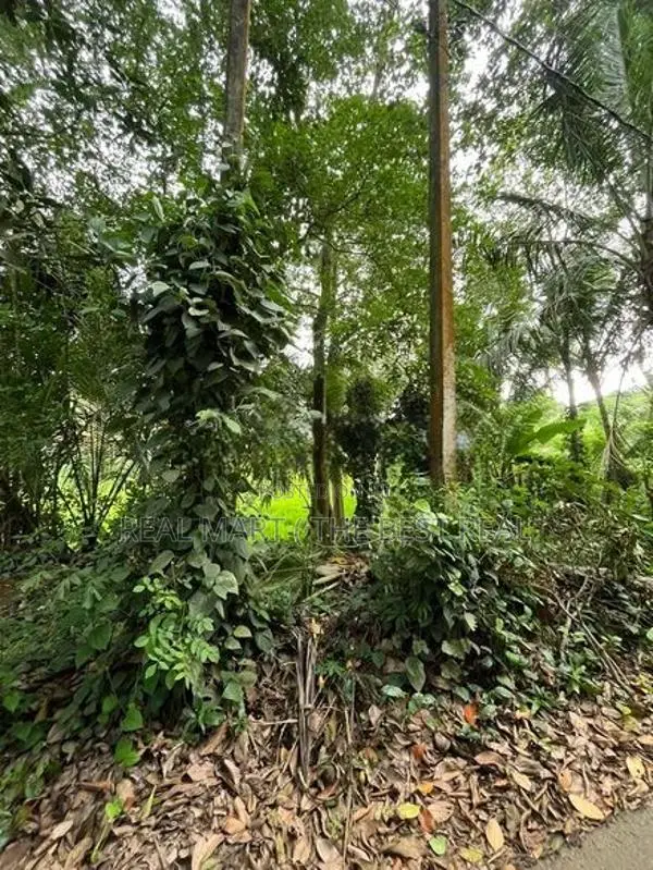 Mathara : 53 Perches Land for Sale in Kekanadura