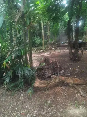 Land For Sale In Raththanapitiya