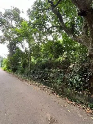 Mathara : 53 Perches Land for Sale in Kekanadura