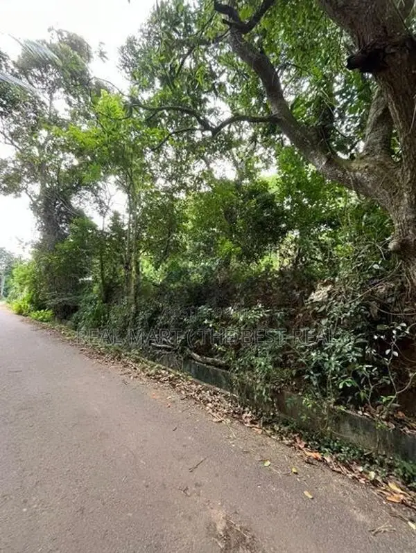 Mathara : 53 Perches Land for Sale in Kekanadura