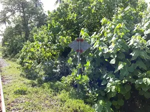 Matara : 120P Perches Commercial Land for Sale in Talpe