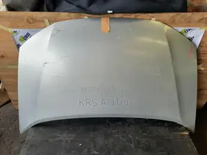 Honda insight ZE2 Bonnet