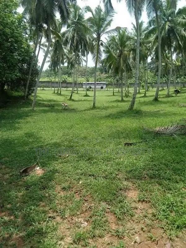 Land for Sale in Horana