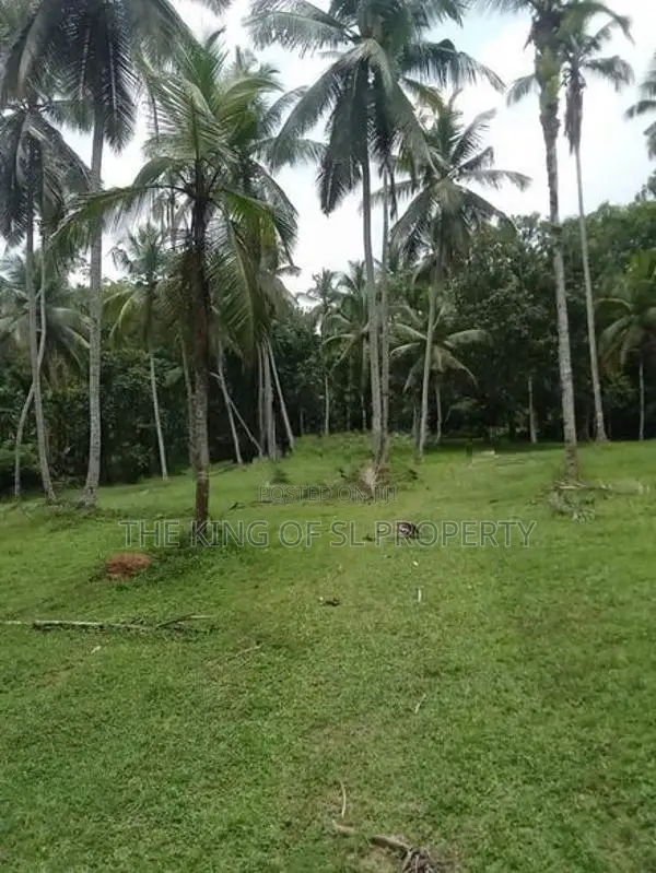 Land for Sale in Horana