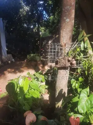House For Sale In Boralesgamuwa Werahera