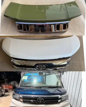 Toyota Roomy Tank Daihatsu Taft Mira Cast Tanto Bonnet Bonet (Shell )
