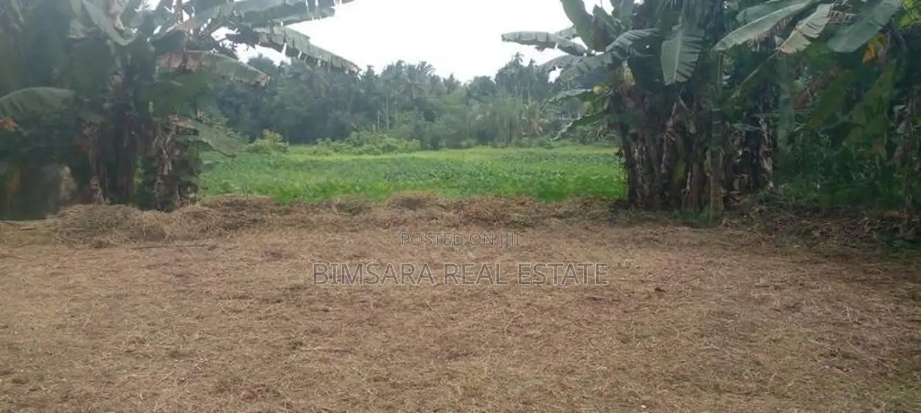 10P Bare Land for Sale in Dakshina Mawatha, Hokandara (SL 14449)