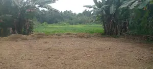 10P Bare Land for Sale in Dakshina Mawatha, Hokandara (SL 14449)