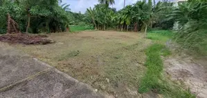 10P Bare Land for Sale in Dakshina Mawatha, Hokandara (SL 14449)