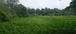 10P Bare Land for Sale in Dakshina Mawatha, Hokandara (SL 14449)