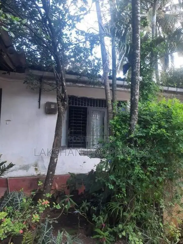 Land For Sale In Boralesgamuwa werahera