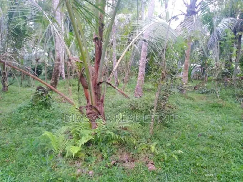 74P Cultivated Land, Sale in Kahambiliyawatta Rd, Bandaragama (SL 1103