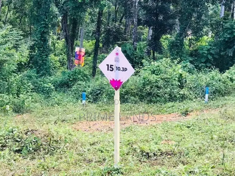 අලව්ව ප්‍රදන පාරට ලගින්ම ඉඩමක්