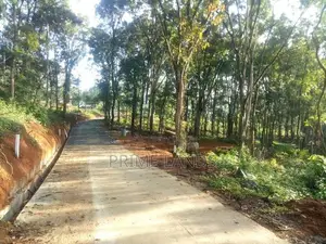අලව්ව ප්‍රදන පාරට ලගින්ම බිම්කොටස්