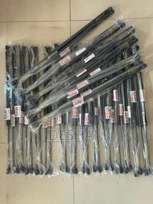 Suzuki Wagon R MH55S Dickey Door Shocks (Taiwan)