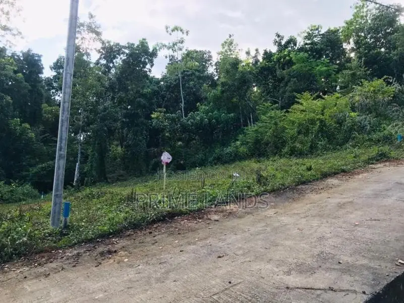 අලව්ව ප්‍රදන පාරට ලගින්ම බිම්කොටස්