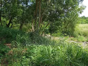 360 Perch Commercial Land in Seeduwa