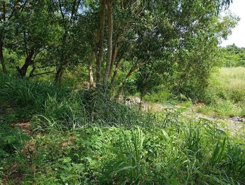 360 Perch Commercial Land in Seeduwa