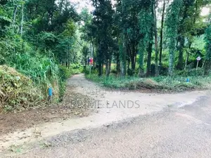 අලව්ව ප්‍රදන පාරට ලගින්ම බිම්කොටස්