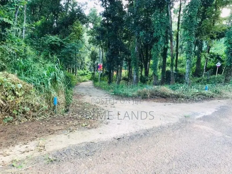 අලව්ව ප්‍රදන පාරට ලගින්ම බිම්කොටස්