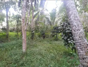 74P Cultivated Land, Sale in Kahambiliyawatta Rd, Bandaragama (SL 1103