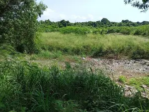 360 Perch Commercial Land in Seeduwa