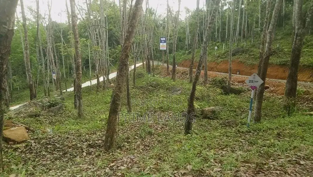 අලව්ව ප්‍රදන පාරට ලගින්ම බිම්කොටස්