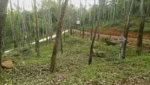අලව්ව ප්‍රදන පාරට ලගින්ම බිම්කොටස්
