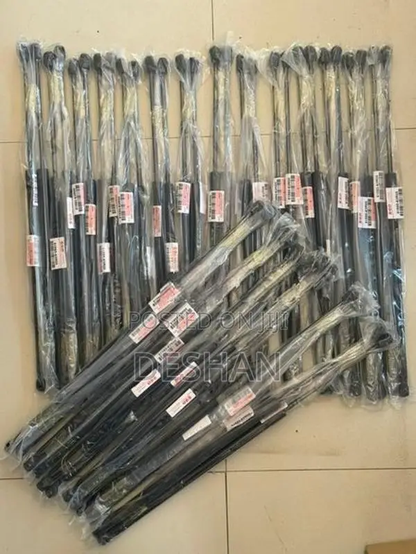 Suzuki Wagon R MH55S Dickey Door Shocks (Taiwan)