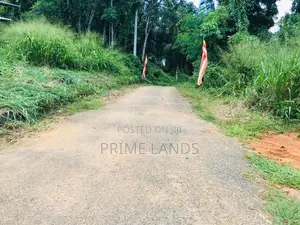 අලව්ව ප්‍රදන පාරට ලගින්ම ඉඩමක්