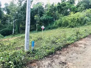 අලව්ව ප්‍රදන පාරට ලගින්ම බිම්කොටස්