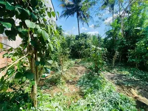 10P Superb Land - Walking Distance to Athurugiriya-Godagama Main Rd