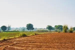 Land for Sale Thalawathugoda