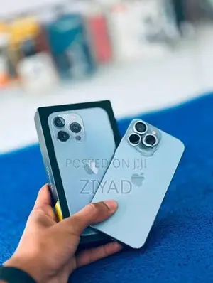 Apple iPhone 13 Pro 256GB (Used)