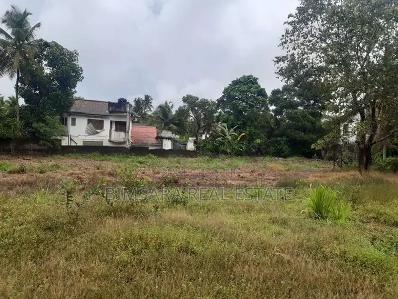75P Bare Land for Sale in Kuruppumulla, Panadura (SL 14471)
