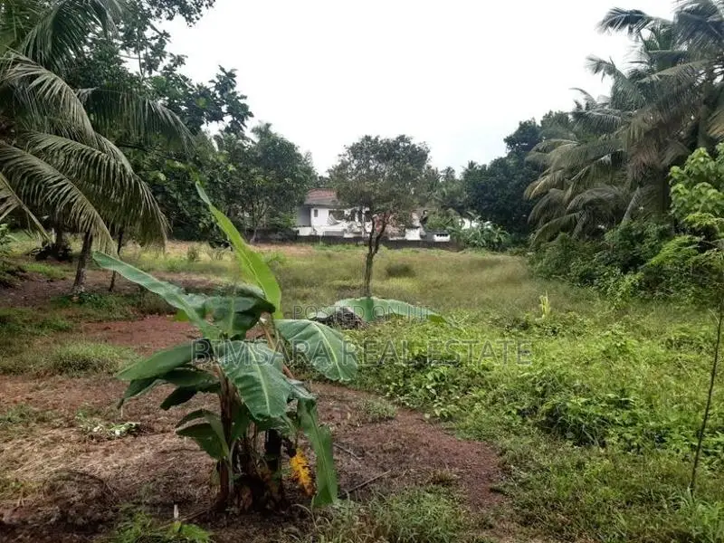 75P Bare Land for Sale in Kuruppumulla, Panadura (SL 14471)