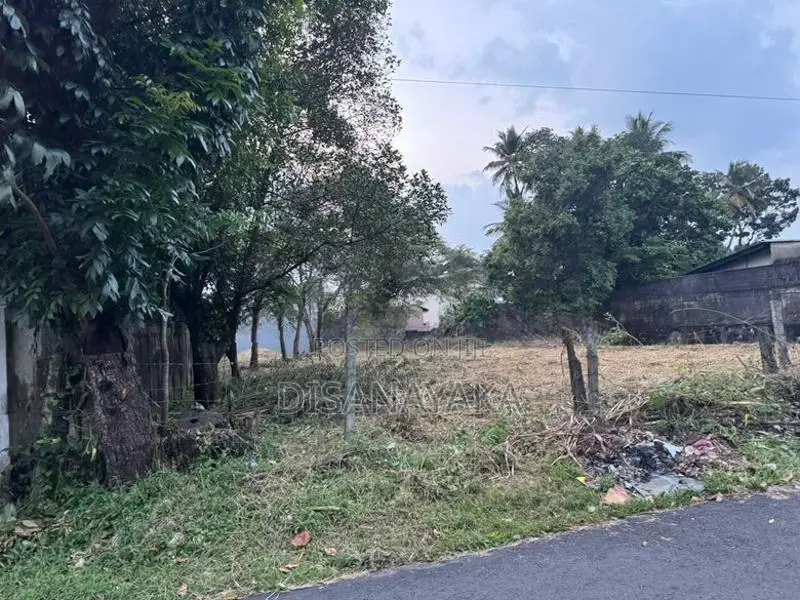 Super Land for Sale Jayanthipura