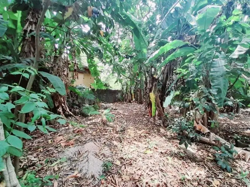 (AF899) 17.17 P Land for sale At Facing Chapel Road Nugegoda