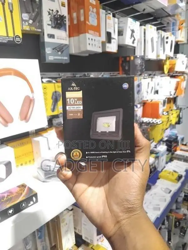 10W LED Flood Light