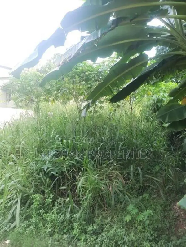 Land For Sale In Boralesgamuwa werahera Gangarama Road