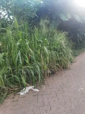 Land For Sale In Boralesgamuwa werahera Gangarama Road