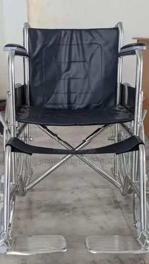 Basic Wheelchair / Wheel Chair රෝද පුටුව