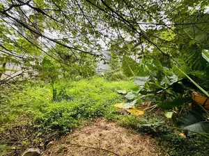 (AF915) 12 P Land Sale At Gamage Mawatha Madiwela Kotte