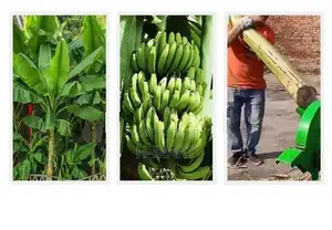 කෙසෙල් ගස් කැබලි කරන යන්ත්‍රය ( Banana Tree Shredder )