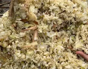 කෙසෙල් ගස් කැබලි කරන යන්ත්‍රය ( Banana Tree Shredder )